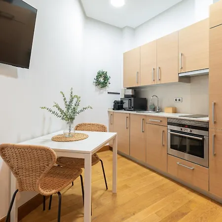 El Loft De Principe Apartment *